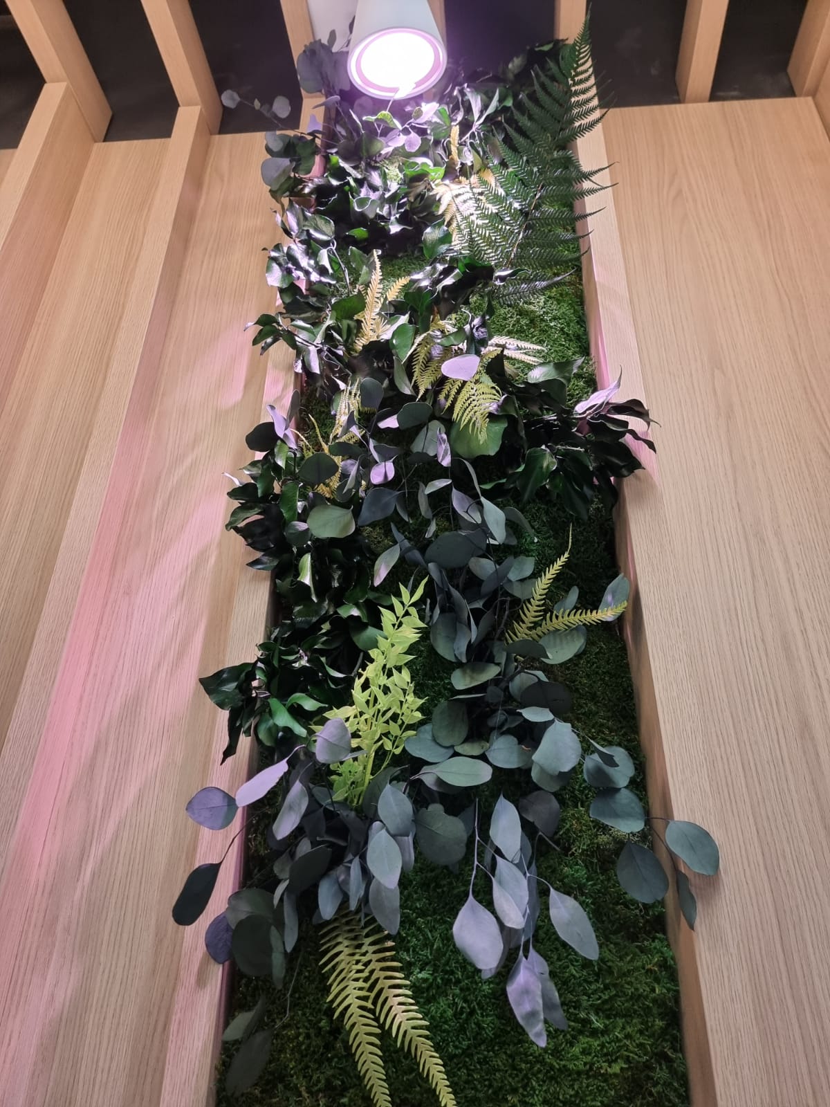 20221028_104248000_iOS