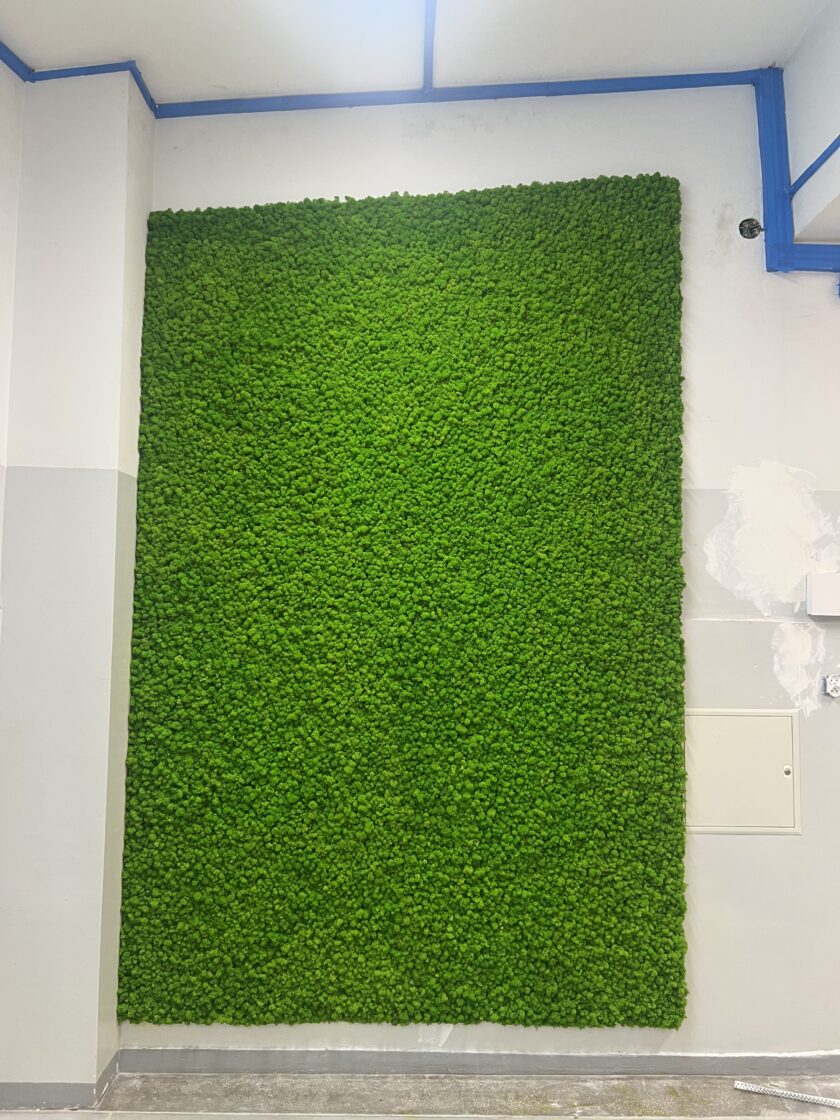 Duża prostokątna instalacja ścienna z zielonego mchu (panel z mchu) w pomieszczeniu o białych i szarych ścianach, z niebieską taśmą wzdłuż sufitu oraz niewielkim panelem technicznym po prawej stronie.
