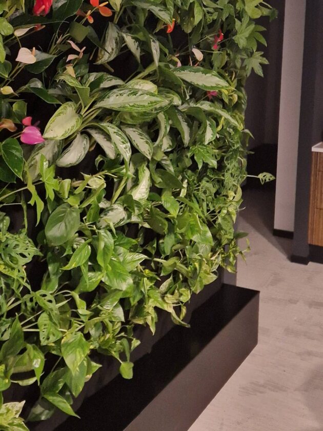 ogrod-obieg-zamkniety