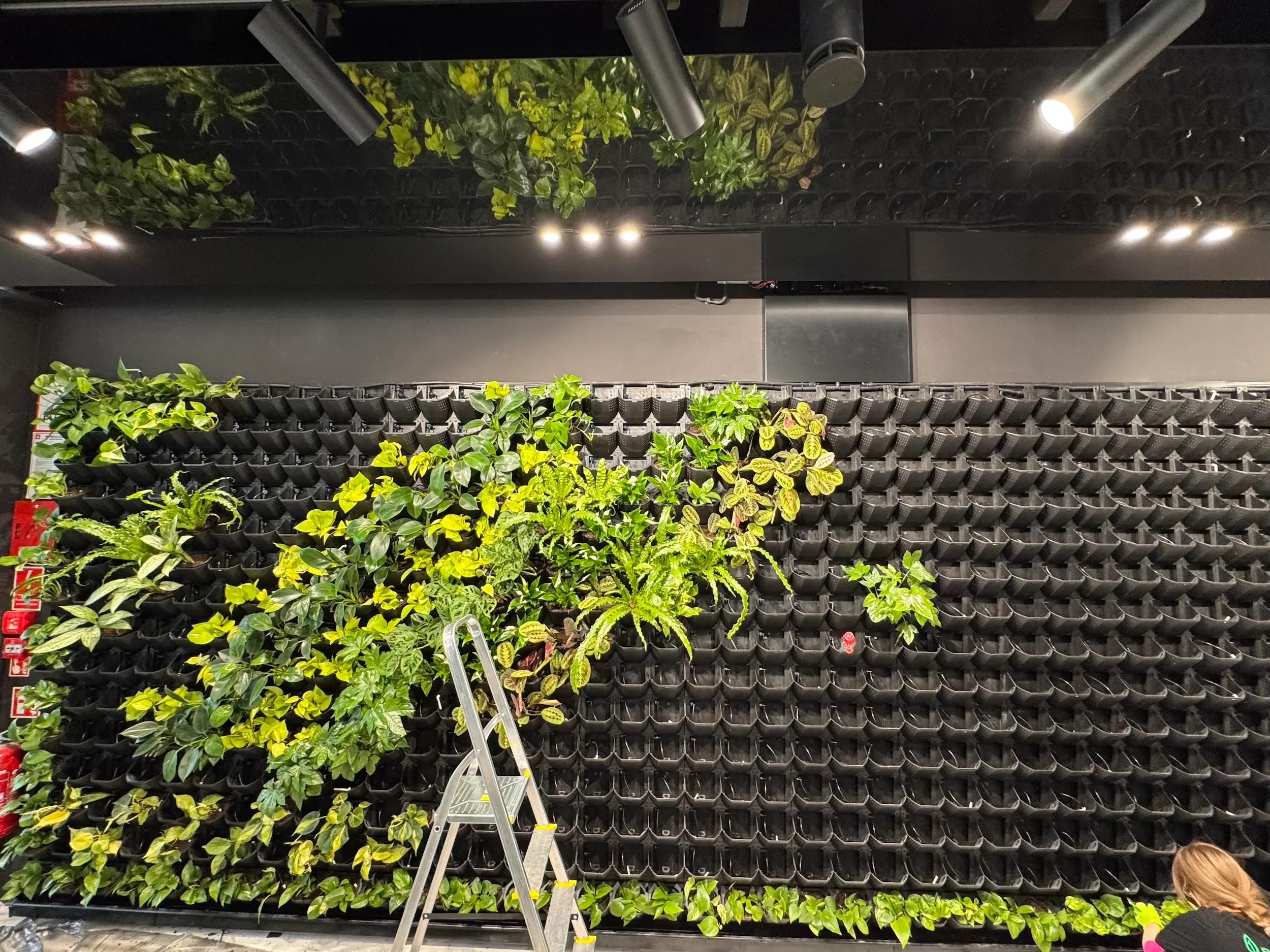 20260217_121134871_iOS