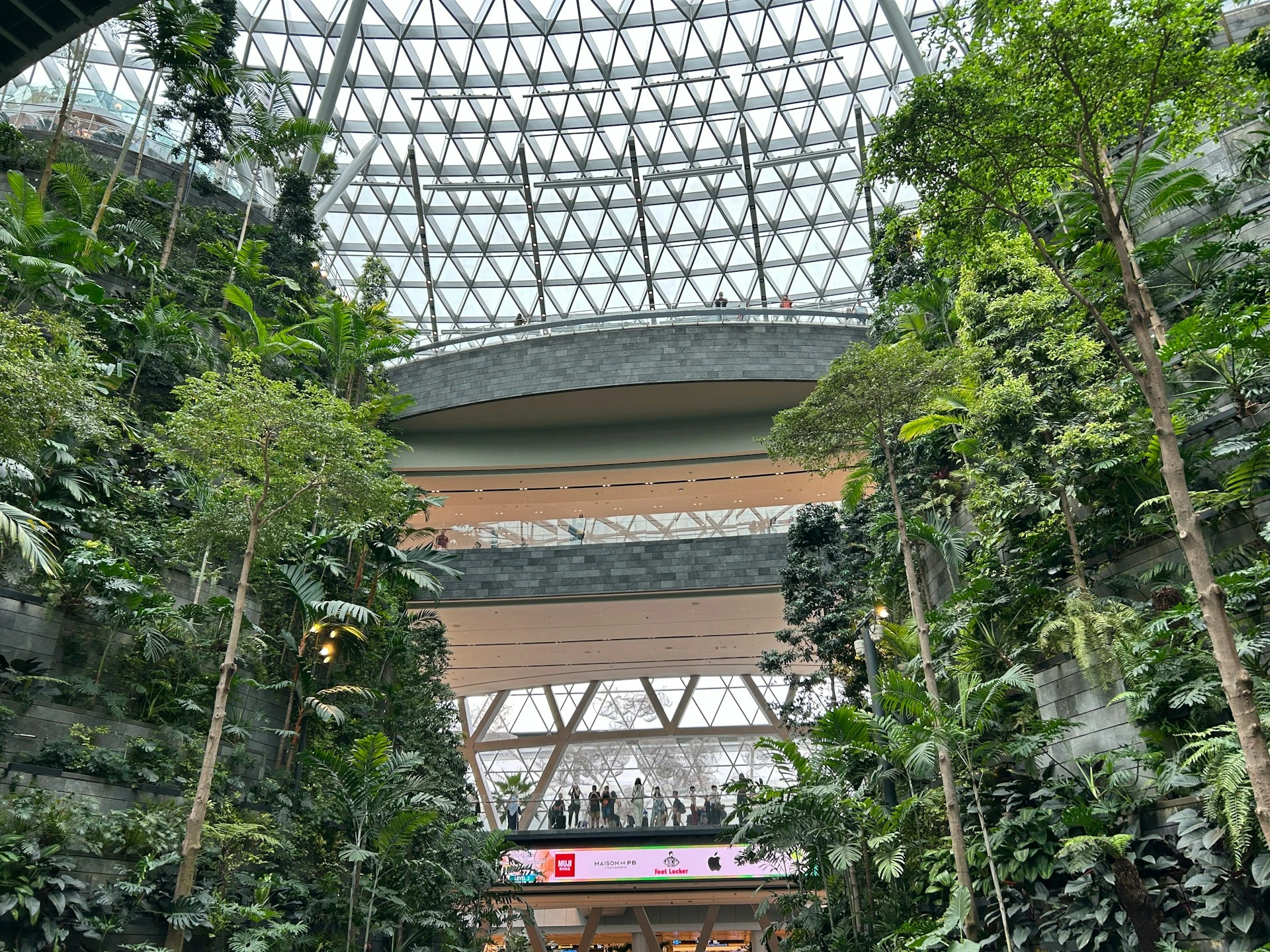 ogród wertykalny zielona ściana w centrum handlowym