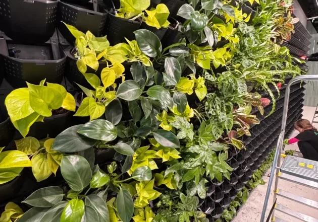 20260217_120951853_iOS