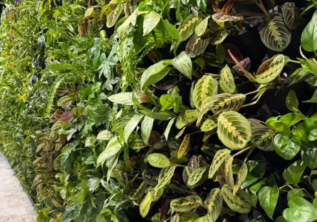 20260217_143541909_iOS