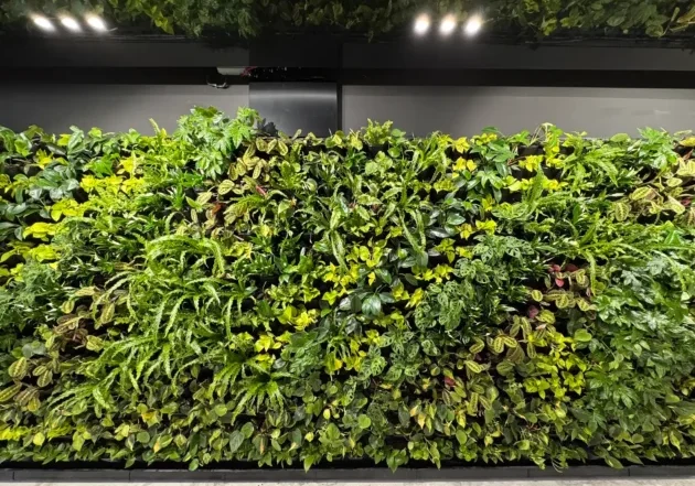 20260217_143551217_iOS