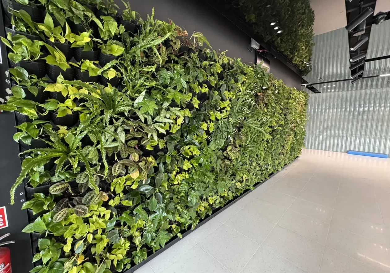 20260219_120251398_iOS 1